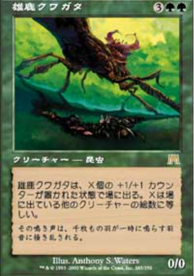 (日)雄鹿クワガタ / Stag Beetle【ONS】 No.285