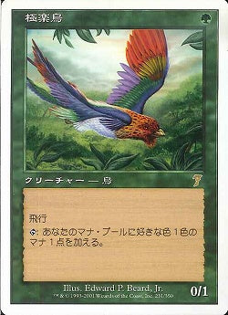 (日)極楽鳥 / Birds of Paradise【7ED】 No.231