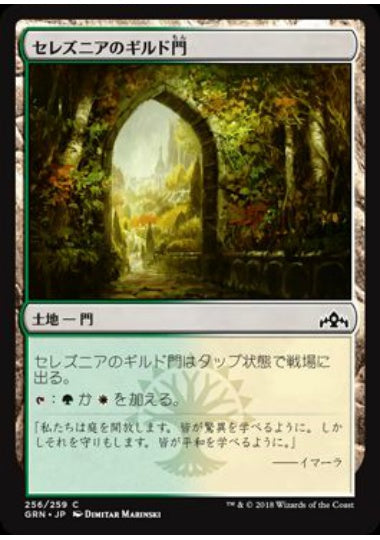 (日)【Foil】セレズニアのギルド門 / Selesnya Guildgate【GRN】 No.256