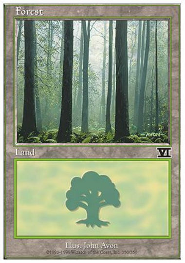 (英)森 / Forest【6ED】 No.350