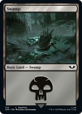 (英)沼 / Swamp【40K】 No.314