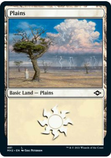 (英)平地 / Plains【MH2】 No.481