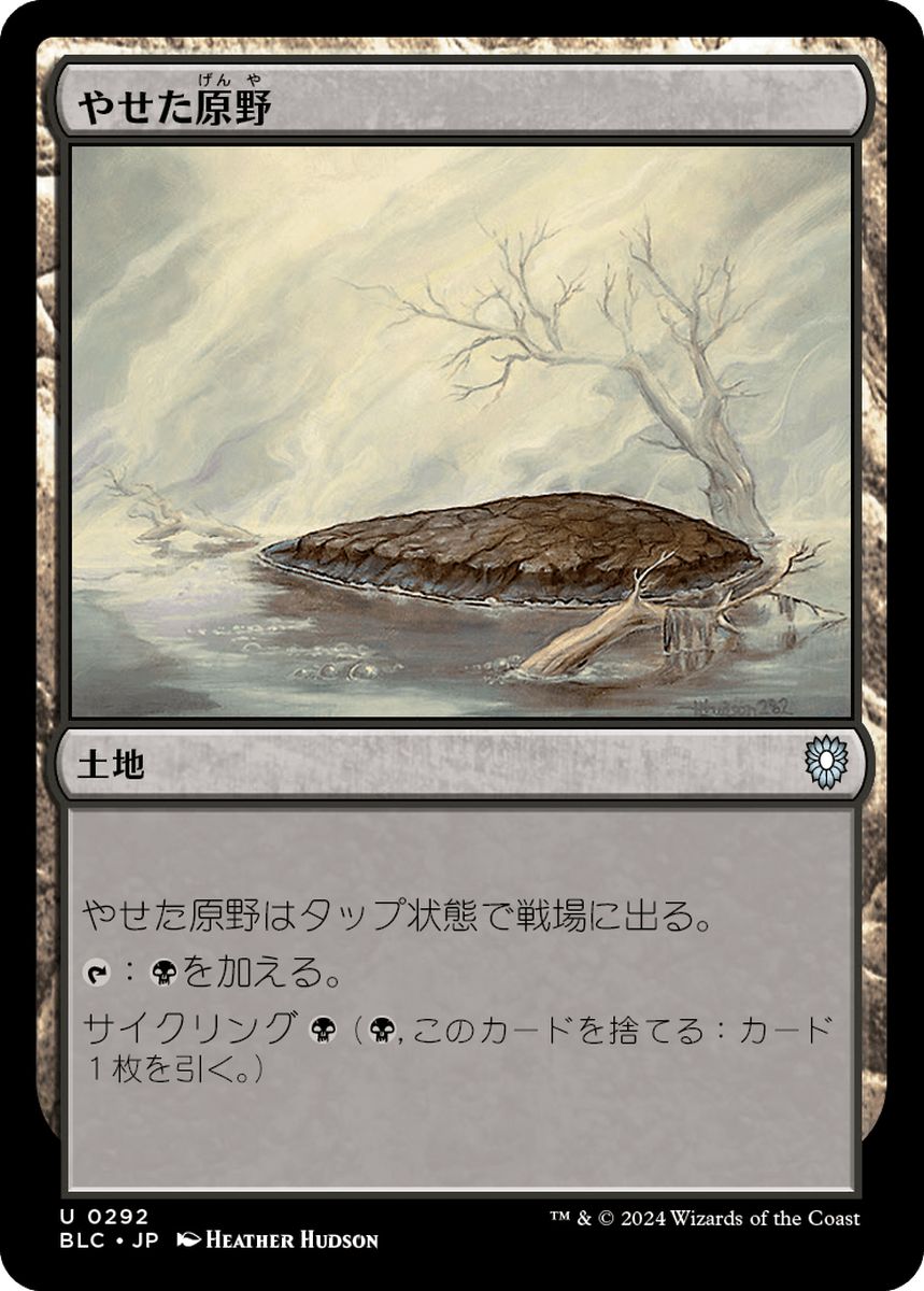 (日)やせた原野 / Barren Moor【BLC】 No.292