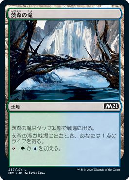 (日)【Foil】茨森の滝 / Thornwood Falls【M21】 No.257