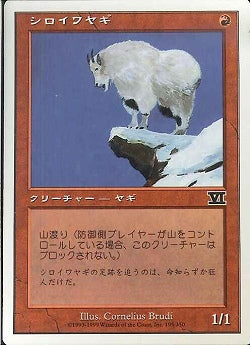 (日)シロイワヤギ / Mountain Goat【6ED】 No.195