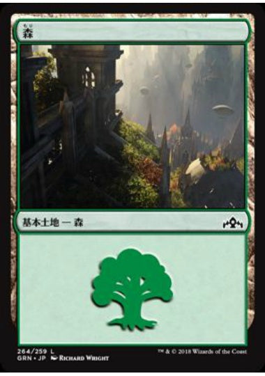 (日)森 / Forest【GRN】 No.264