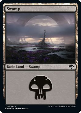 (日)沼 / Swamp【BRO】 No.272