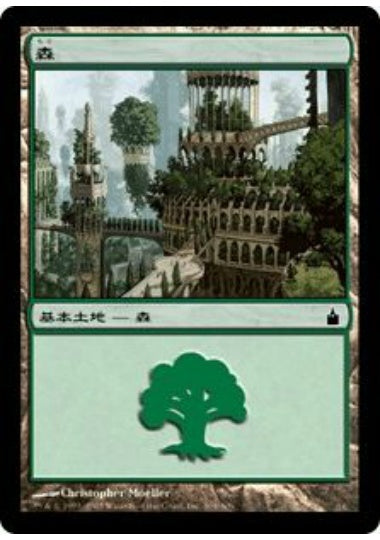 (日)【Foil】森 / Forest【RAV】 No.304