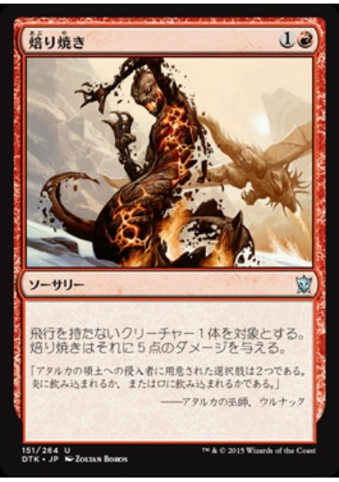 (日)焙り焼き / Roast【DTK】 No.151