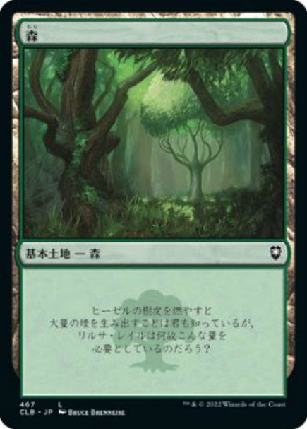 (日)森 / Forest【CLB】 No.467