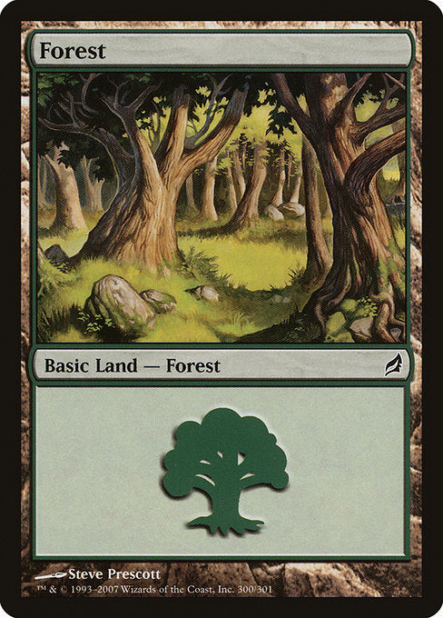 (英)森 / Forest【LRW】 No.300