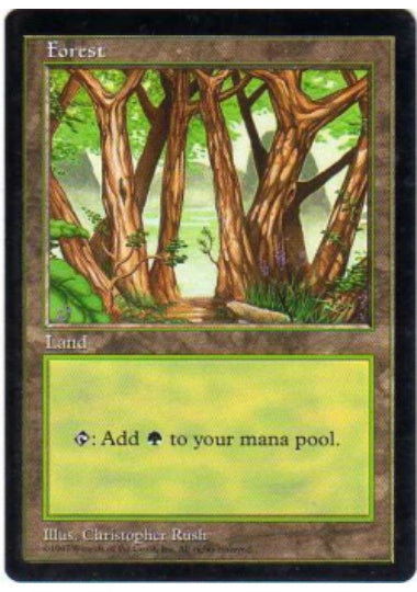 (英)森 / Forest【PRM】 中国 APAC LAND2 APACランド No.029
