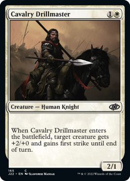 (英)騎兵隊の教練官 / Cavalry Drillmaster【J22】 No.165