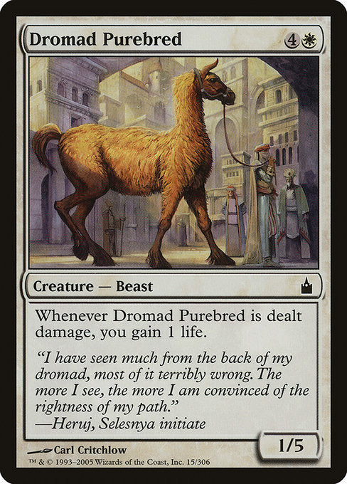 (英)【Foil】ドローマッドの純血種 / Dromad Purebred【RAV】 No.015