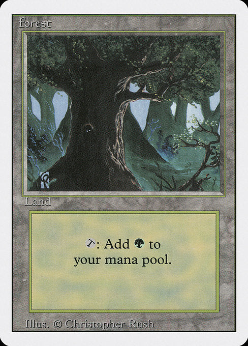 (英)森 / Forest【3ED】 (Dark Tree) No.305