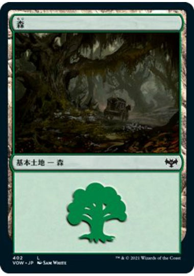 (日)【Foil】森 / Forest【VOW】統率者デッキ収録 No.402