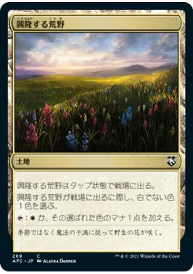 (日)興隆する荒野 / Thriving Heath【AFC】 No.269