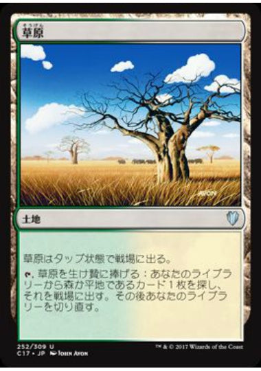 (日)草原 / Grasslands【C17】 No.252