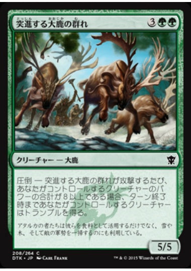 (日)突進する大鹿の群れ / Stampeding Elk Herd【DTK】 No.208