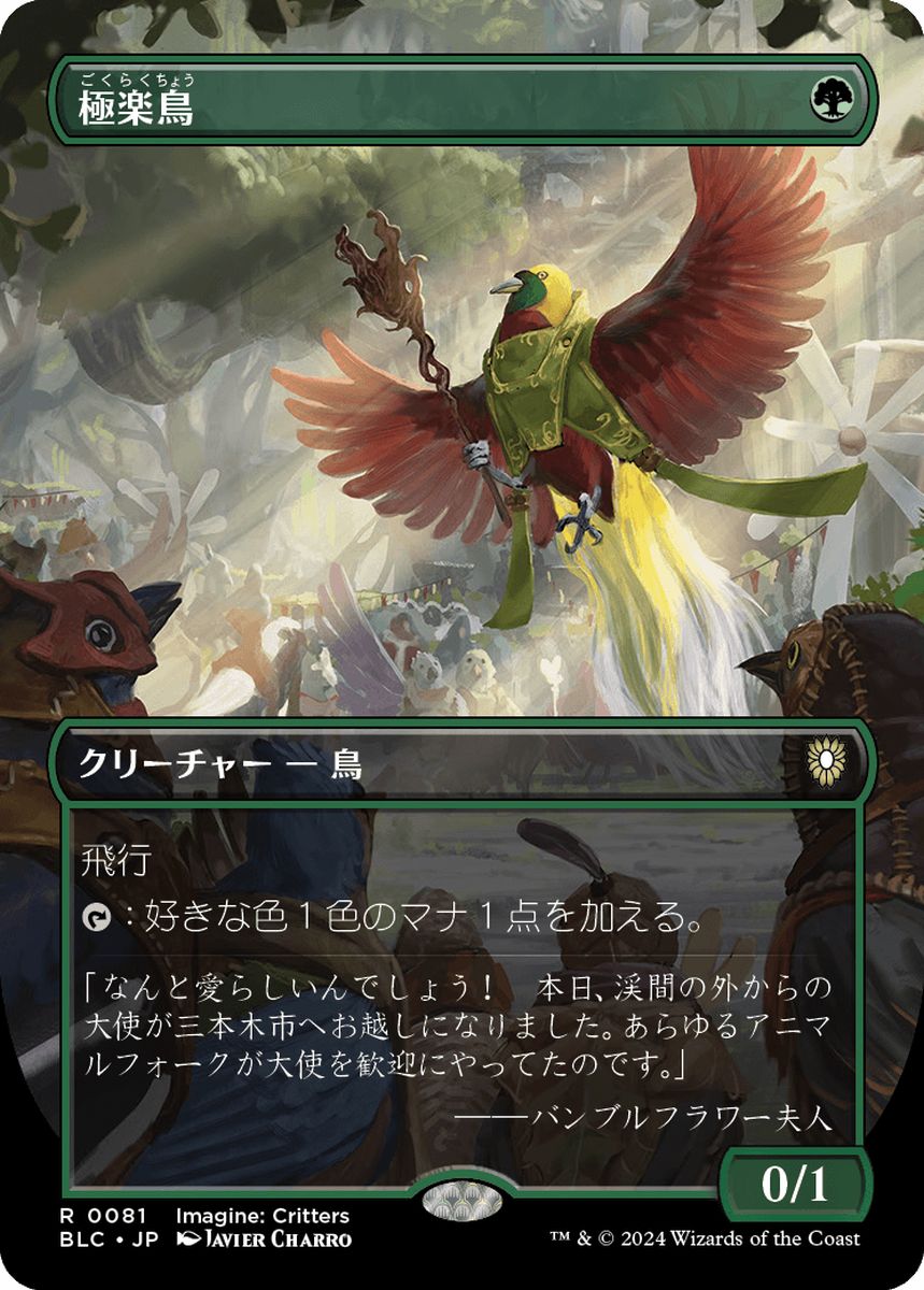 (日)極楽鳥 / Birds of Paradise ★ボーダーレス★(イマジン：勇敢なる生き物たち) 【BLC】 No.081
