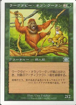 (日)ウークタビー・オランウータン / Uktabi Orangutan【6ED】 No.260
