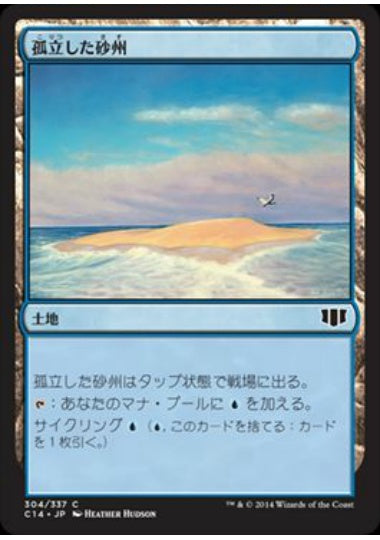 (日)孤立した砂州 / Lonely Sandbar【C14】 No.304