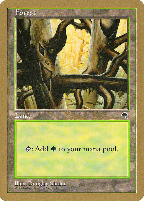 (英)森 / Forest【WC98】 World Championship Decks 1998 Brian Selden 金枠 No.105