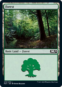 (英)森 / Forest【M21】 No.273