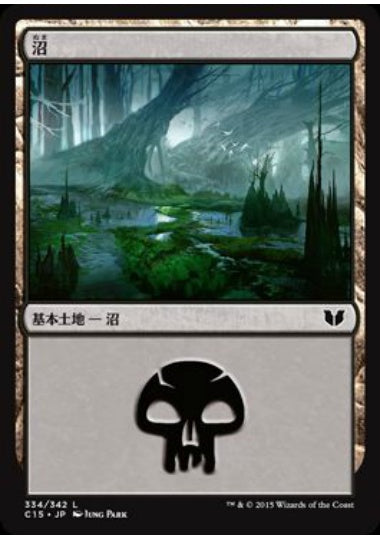 (日)沼 / Swamp【C15】 No.334