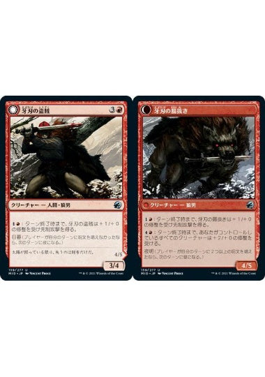 (日)【Foil】牙刃の盗賊 / Fangblade Brigand - 牙刃の腸抜き / Fangblade Eviscerator【MID】 No.139