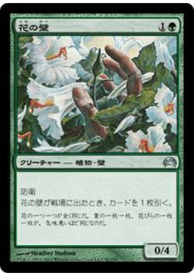 (日)花の壁 / Wall of Blossoms【PLANE2012】 No.081