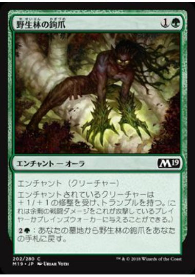 (日)【Foil】野生林の鉤爪 / Talons of Wildwood【M19】 No.202