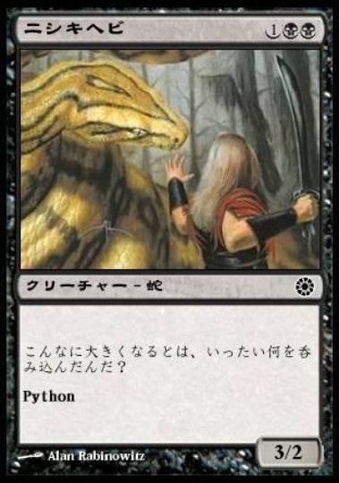 (日)ニシキヘビ / Python【POR】 No.105