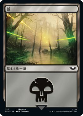 (日)沼 / Swamp【40K】 No.310