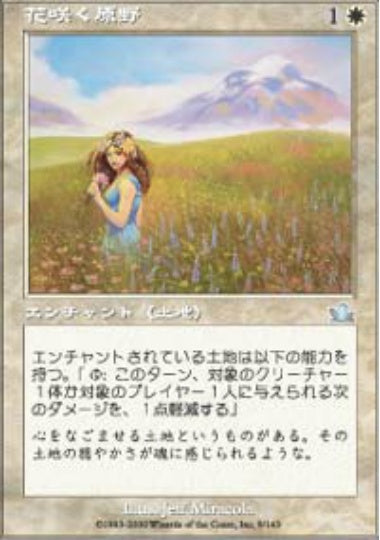 (日)【Foil】花咲く原野 / Flowering Field【PCY】 No.009