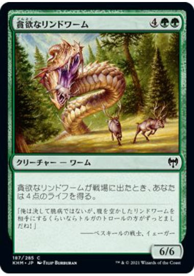 (日)【Foil】貪欲なリンドワーム / Ravenous Lindwurm【KHM】 No.187