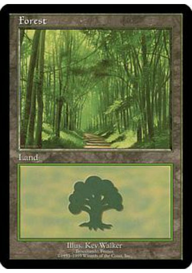 (英)森 / Forest【PRM】 フランス EURO LAND2 EUROランド No.032
