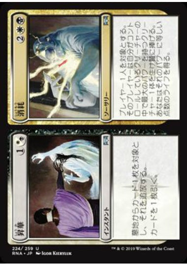(日)【Foil】昇華+消耗 / Consecrate+Consume【RNA】 No.224