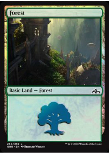 (英)【Foil】森 / Forest【GRN】 No.264