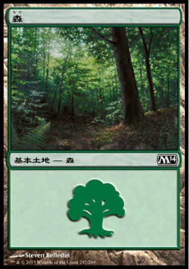 (日)森 / Forest【M14】 No.247