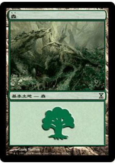 (日)森 / Forest【TSP】 No.300