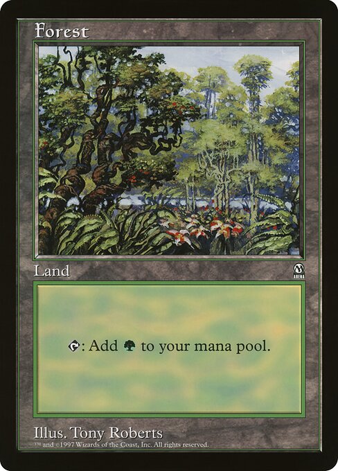 (英)森 / Forest【PRM】 アリーナプロモ 【Oversized Card】 BIG-PRM-015 ※トーナメントで使用することはできません。
