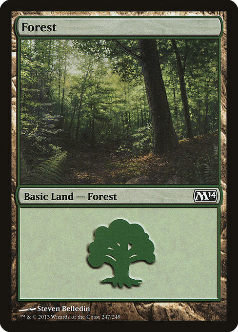 (英)【Foil】森 / Forest【M14】 No.247
