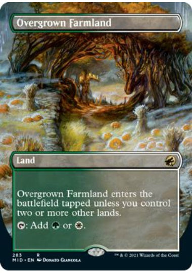 (英)【Foil】草茂る農地 / Overgrown Farmland ★ボーダーレス★ 【MID】 No.283