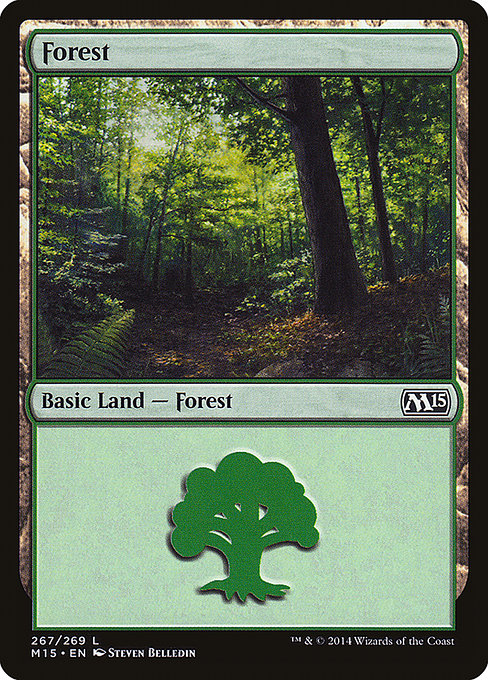 (英)森 / Forest【M15】 No.267