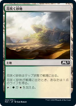 (日)【Foil】花咲く砂地 / Blossoming Sands【M21】 No.244