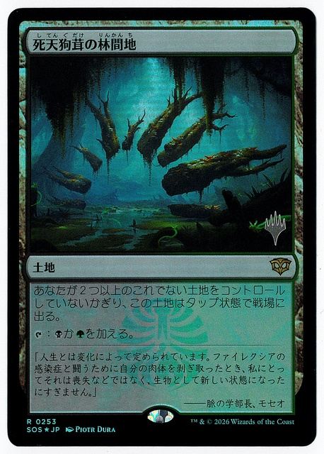新着商品 商品一覧 | MtG通販サイト【Cardshop Serra】