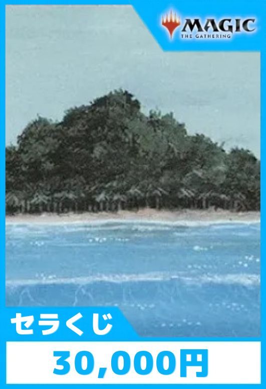 Cardshop Serra特製 30,000円くじ