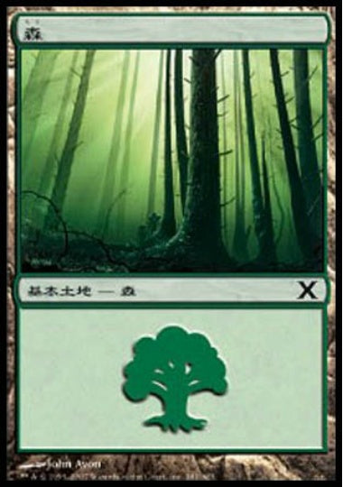 (日)森 / Forest【10E】 No.381
