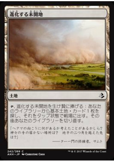 (日)【Foil】進化する未開地 / Evolving Wilds【AKH】 No.242